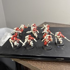 Warhammer 40K Assault Intercessors 10 Primaris Space Marines Dark Blood Angels