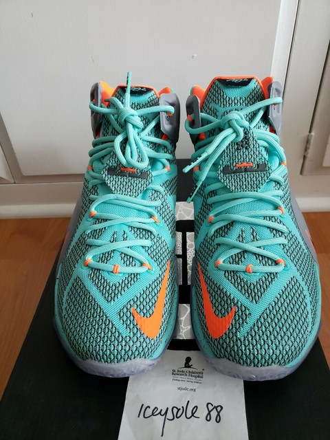 nike lebron 12 nsrl