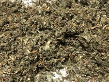 Red Clover Tops Flowers Raspberry Mullein Marshmallow Organic Herb Leaf Mix oz