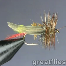 1 dozen (12) - Joe's Hopper