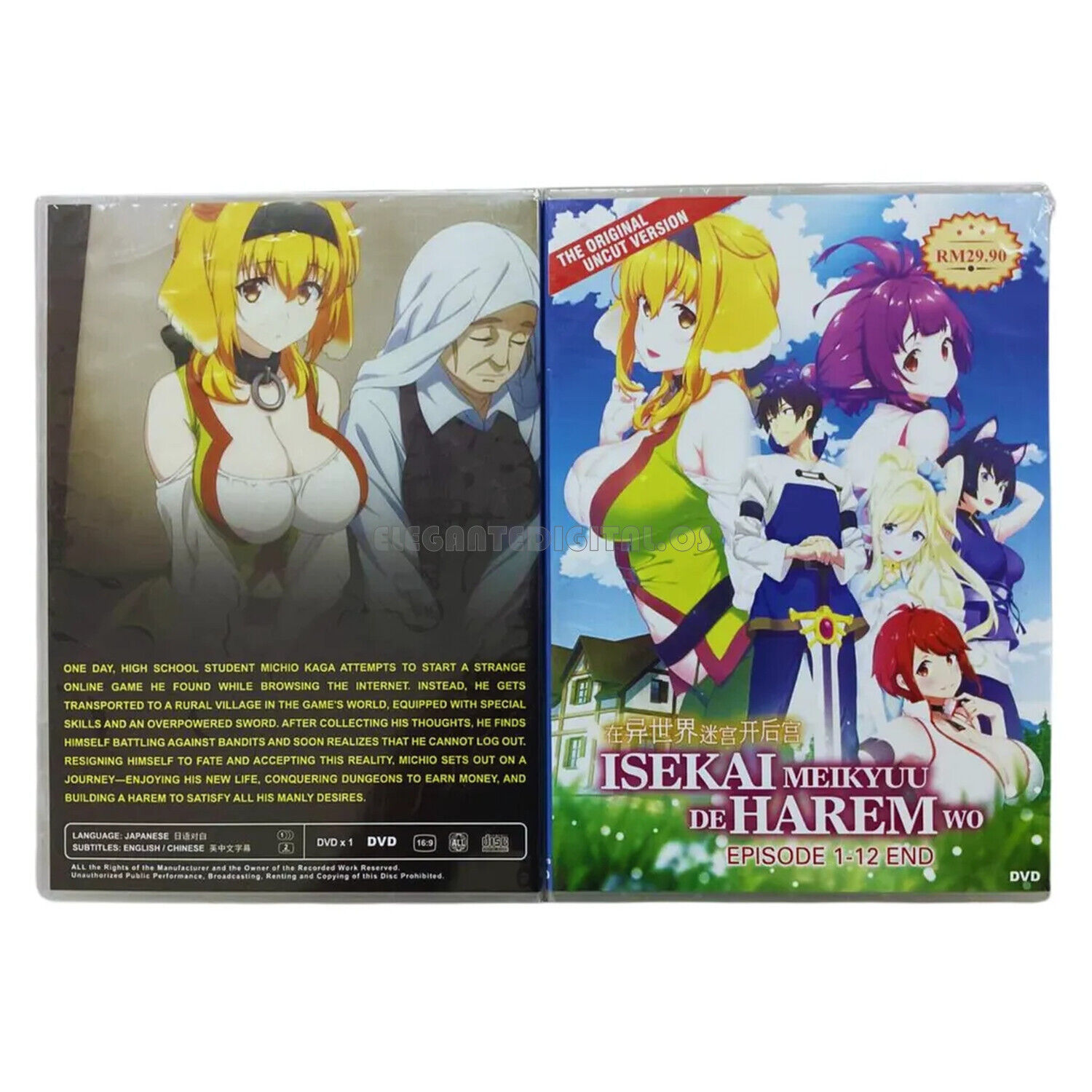 Harem Labyrinth Posters for Sale