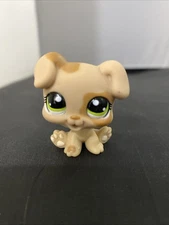 PUPPY DOG #1353 - Authentic Littlest Pet Shop - Hasbro LPS Bulldog Rare