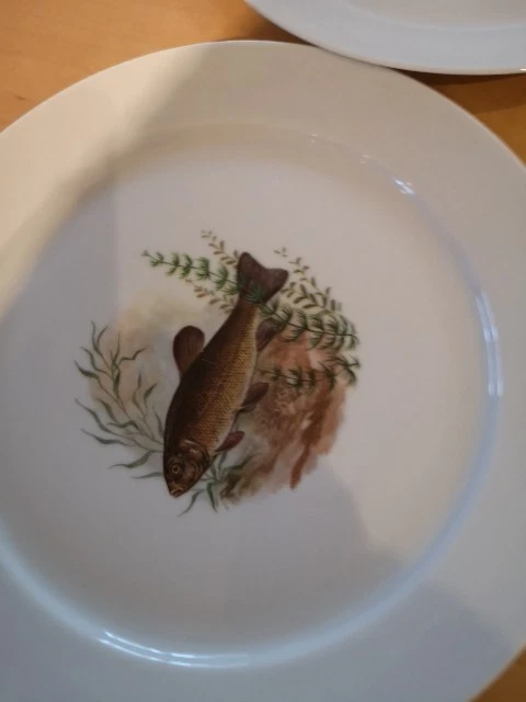 6 X Fischteller für Fischfreunde und Angler - Bild 4 von 4