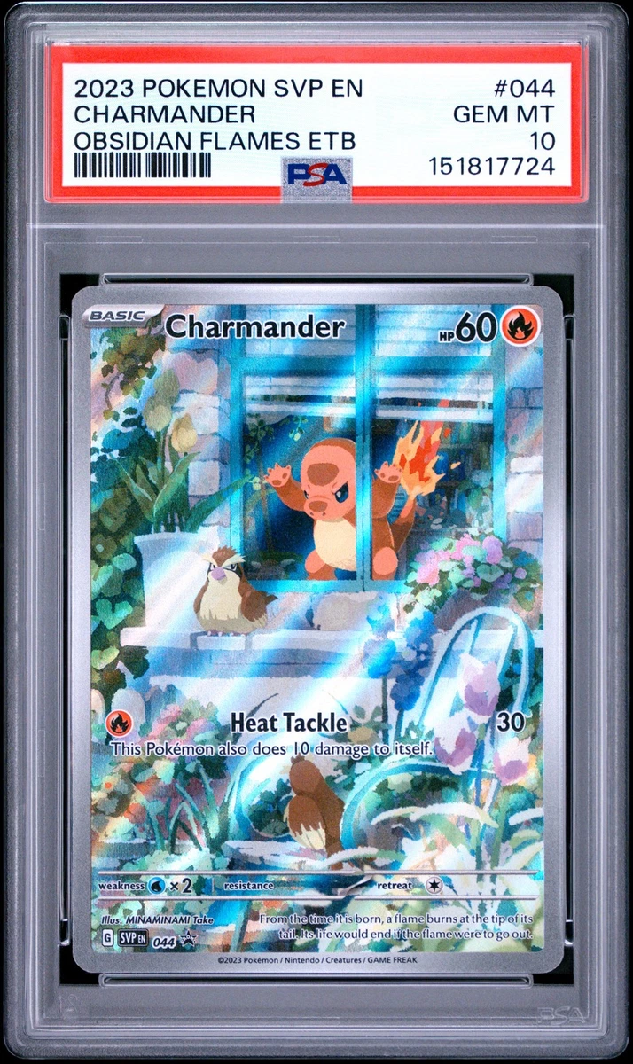 Charmander Pokémon TCG Professional Sports Authenticator (PSA