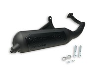 Auspuff -MALOSSI Wild Lion Homologiert- Gilera Storm/Typhoon/Piaggio NRG/MC2/MC3