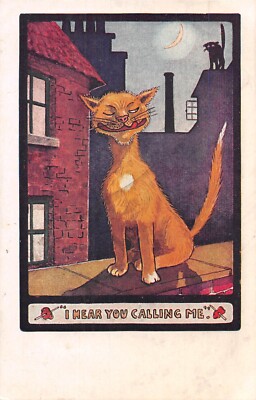 POSTCARD COMIC CAT THEME  I HEAR YOU CALLING ME