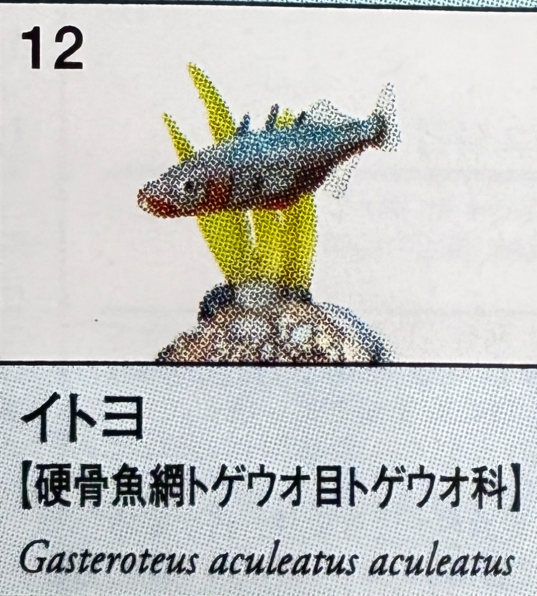 Yujin Freshwater Fish 1 Miniature Figure Three-spined Stickleback
