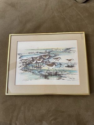 Rare Sand Paper by Richard Capes framed 14x11 print signed 37/500 Seagull Beach