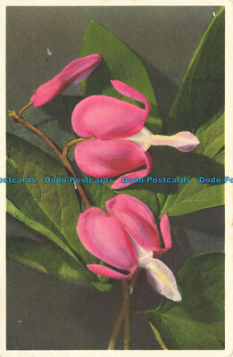 R644208 Blutendes Herz. Ed. J. Burrow. Nr. 379