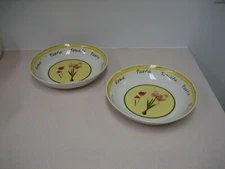 PAIR* Serving Bowls, Pasta Bowls Set of (2)
