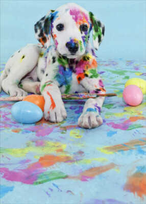 RSVP Paint Splashed Dalmation Puppy Funny  Humorous Dog Easter Card