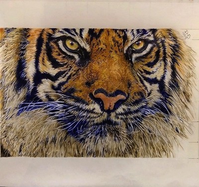 Original Realistic Tiger Colored Pencil Drawing | eBay