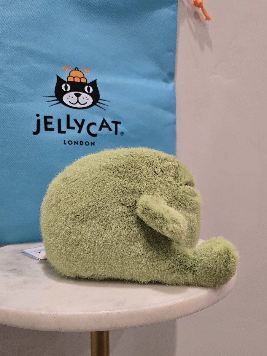 Genuine Ricky Rain Frog Smiling Jellycat Comes With All Tags And