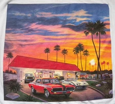 IN-N-OUT BURGER Arizona GOLDEN HOUR 2022 t-shirt (size M) Cougar Corvette Bronco