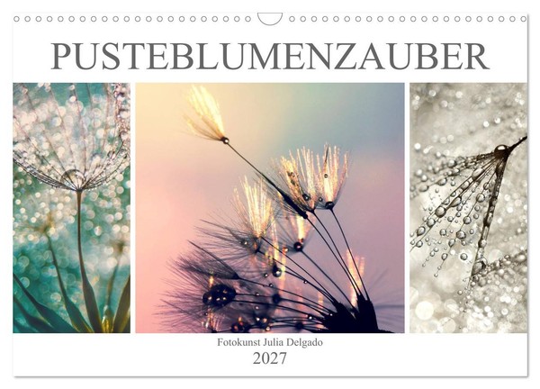 "Calendar 2027 · US Version · Dandelionmagic (Wall Calendar 2027 17\" × 12\" Landsc"-image