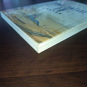 Final Fantasy I Ii Perfect Strategy Guide Book Famicom