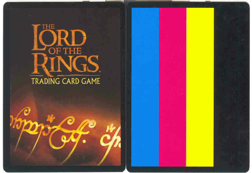 LOTR CCG 1x  Color Test Card - Promo Damaged Promo - Lord of the Rings (Decipher