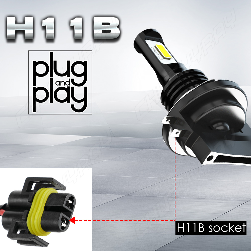 Wlw SPARE BULB KIT H1 H4 H7 FIESTA : Aazon.co.uk