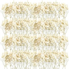 Fumete 50 Pcs Mini Dried Baby Breath Flowers Wedding Ivory Natural Flowers Bu...