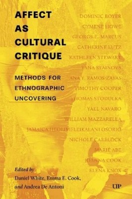 Daniel White Affect As Cultural Critique (Paperback) (UK IMPORT)