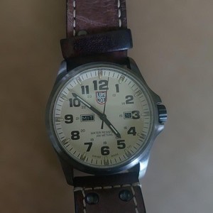 Luminox Series 1920 | eBay