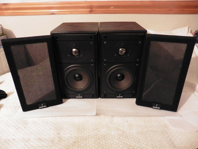 celestion 1 speakers