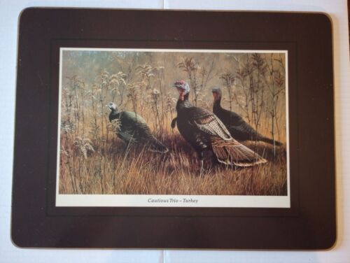 Vintage Set Clover Leaf Table Mats In Box Game Bird Scenes RARE Tablemats - Picture 2 of 6