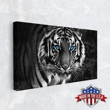 The Blue-Eyed Shadow Canvas Print for Home Decor, Wall Decor Art Poster