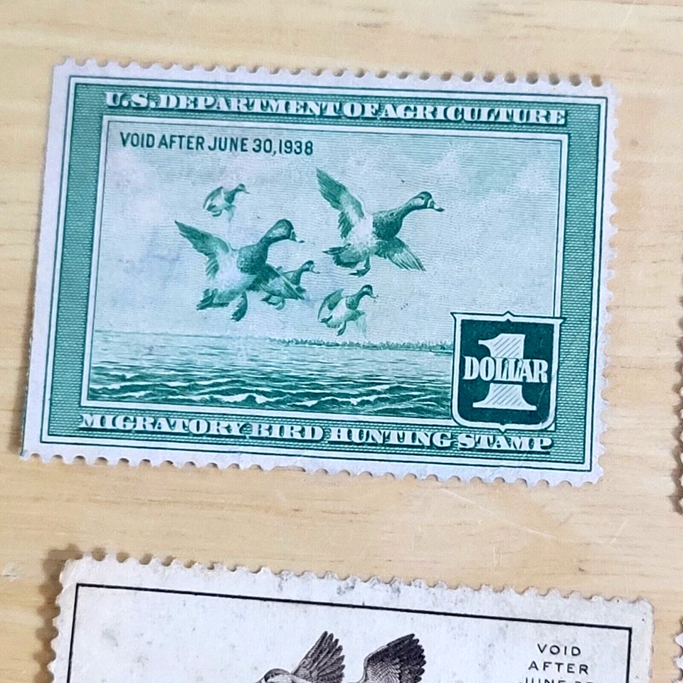1937 1938 LOT OF 9 UNUSED BUT 1 US DUCK STAMPS HAS ISSUES READ ! CHEAP !!! #131 - Image 2 of 4