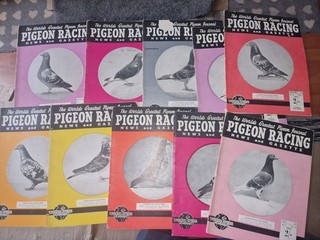 JOB LOT PIGEON RACING NEWS MAGZINES LOT A