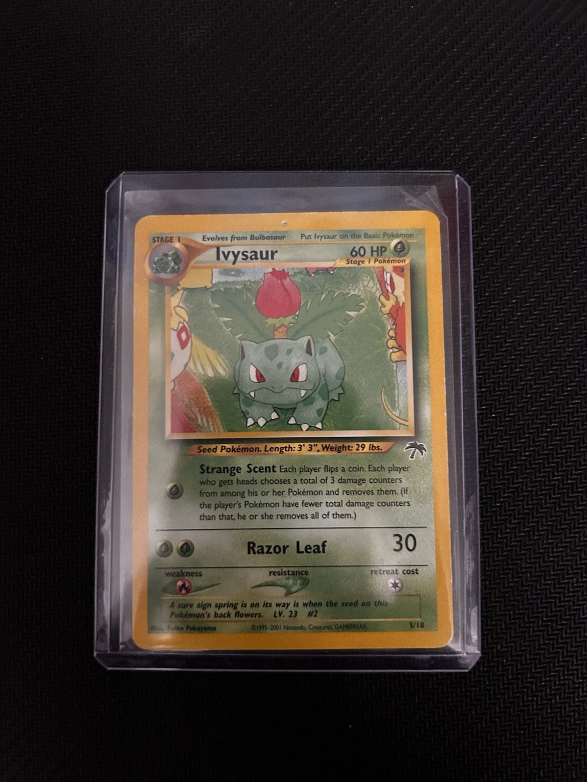 Ivysaur - Southern Islands #5 Price & Value ($71.28) | PokeScope