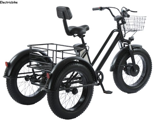 24" Electric Trike 48V LCD 140kg Load Cargo Bicycle Heavy-Duty E-Trike 25km/h - Picture 4 of 11