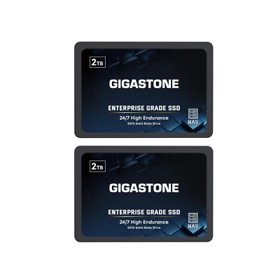 Gigastone Enterprise SSD 2TB NAS SSD Drive Cache (2-Pack) 24/7 