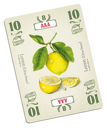 Torten Kartenspiel Kniffliger Trick Allplay Familie Obst Set Sammlung - Bild 4 von 6