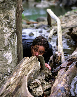 Benicio Del Toro [1038022] 8x10 Foto (Andere Größen Verfügbar)