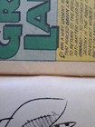 Bild 6 von 6
