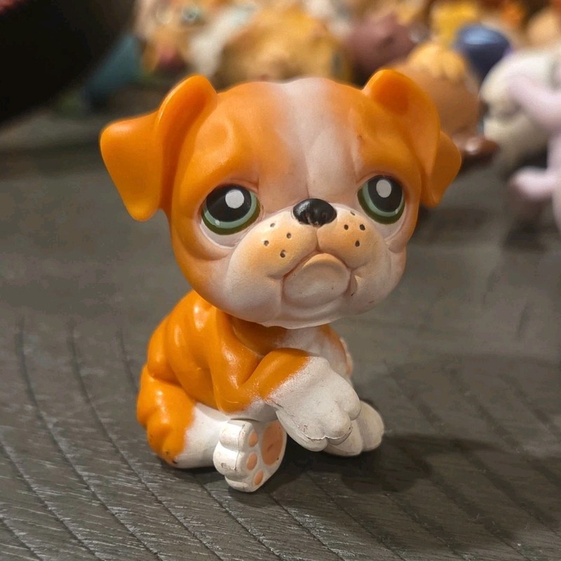 Littlest Pet Shop LPS Hasbro Orange & White Bulldog (COSTCO NO NUMBER) 