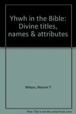 YHWH IN THE BIBLE: DIVINE TITLES, NAMES & ATTRIBUTES By Marvin T Wilson *VG+*
