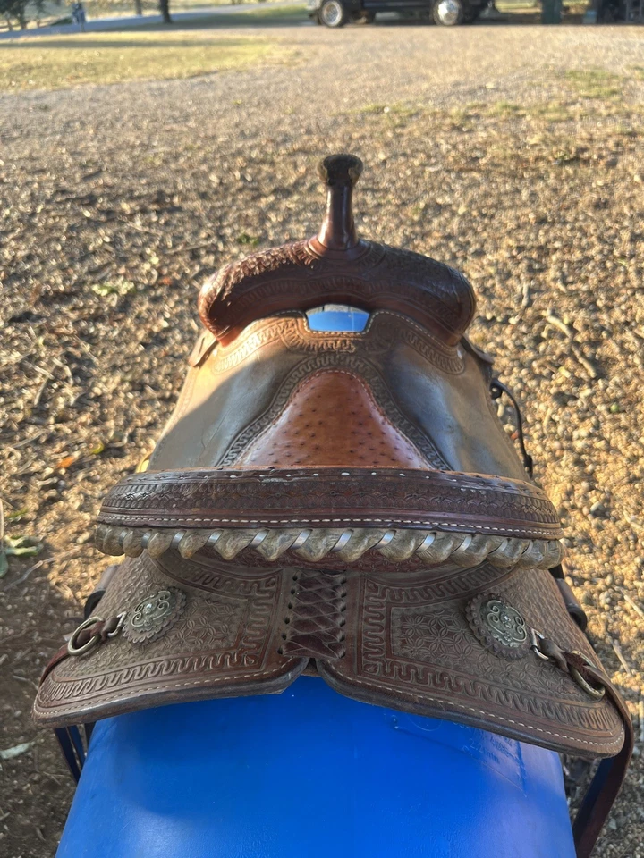 Selim de cano Charmayne James 14,5 pol. selim de cacto - Imagem 4 de 4