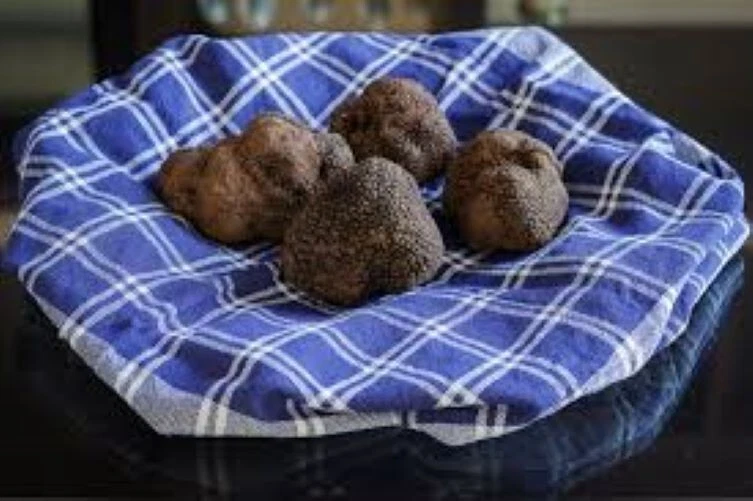 Precious Italian fresh black truffles. Black truffle 295g. 10,4 oz. Mushrooms. - Image 3 of 4