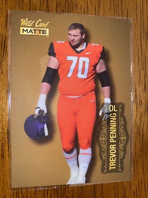 【CNPトレカ】P-RR フウジン s-l400.jpg