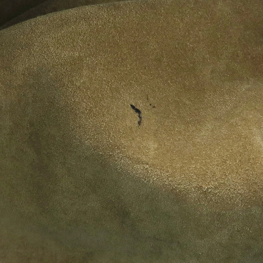 Borsa a tracolla LOEWE BORSA FLAMENCO media in pelle di melone palam borsa a mano autentica