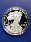 2013-W American Silver Eagle PROOF 1 Oz Silver Coin, Box & COA