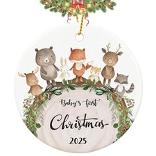 Babys First Christmas Ornament 2025, My First Christmas Ornament, Baby's Firs...