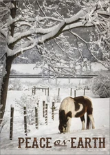 Brown and White Horse in Snow Lori Deiter Box of 18 Country Christmas Cards