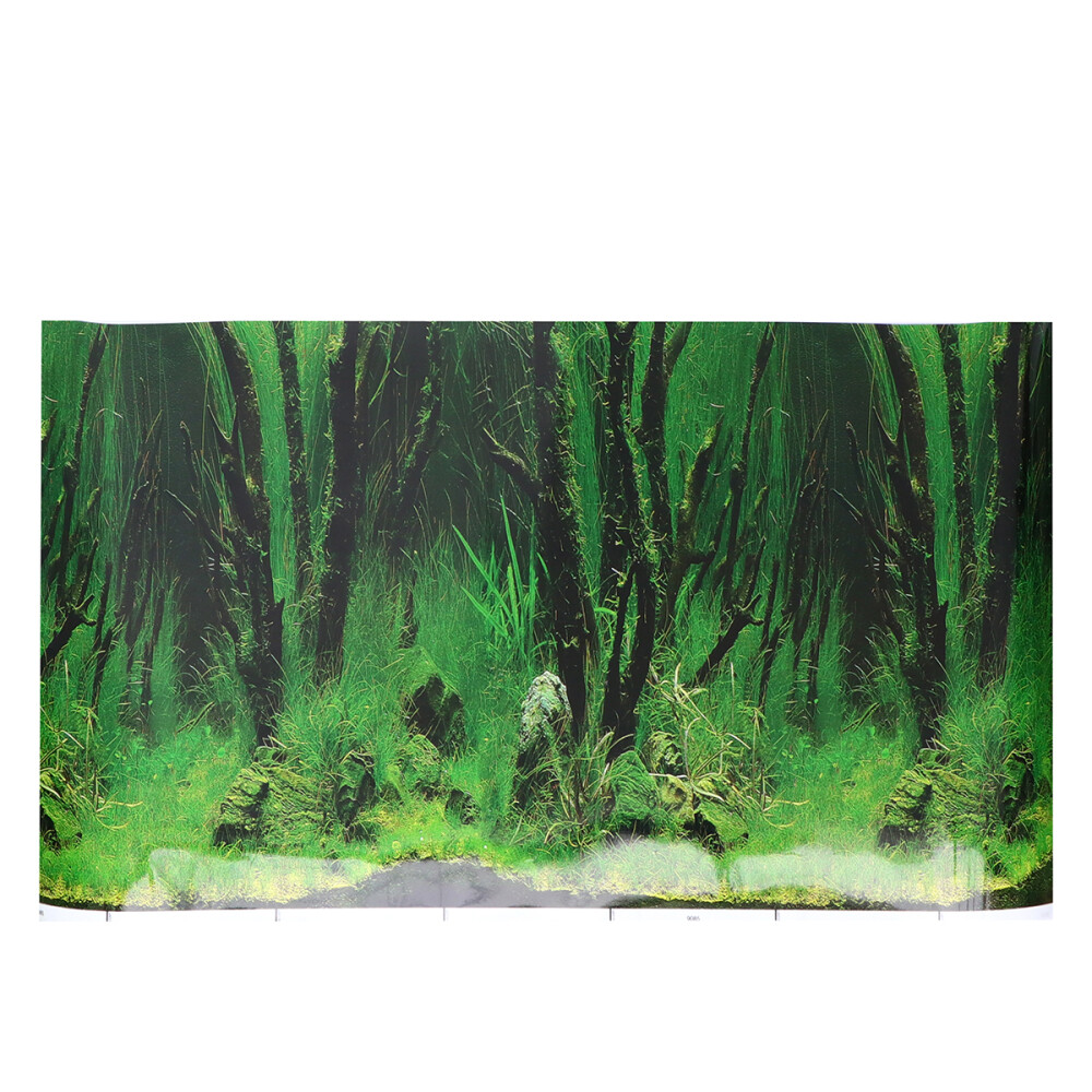 Fish Tank Background Paper Wallpaper Underwater World Aquarium Picture