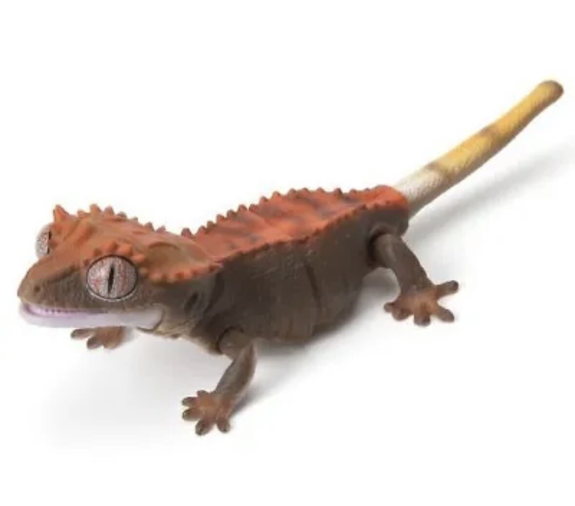 GECKO ゲッコー カホン The Mysterious Geckos of Japan! - YouTube