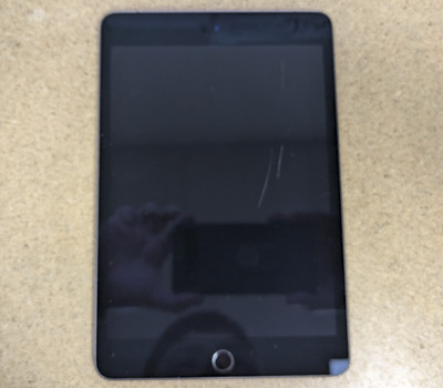 Apple iPad Mini 5th Gen 64GB Wi-Fi + Cellular - Grey - Bad Front Camera