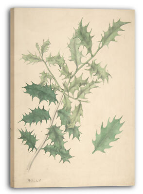 Tableau 'Feuilles De Houx' 19ème Siècle - Toile Cadre Prêt à Accrocher