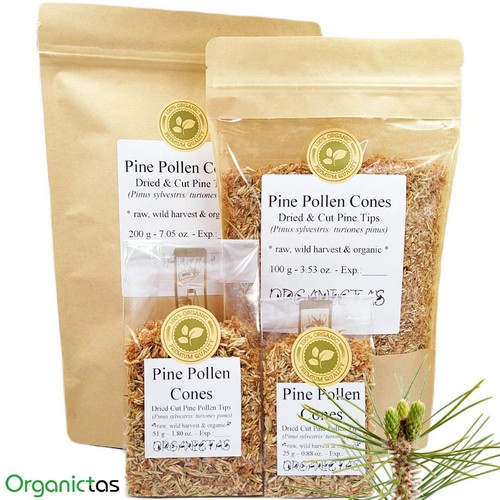 Brotes de polen de pino seco 100 g cosecha silvestre orgánica Pinus Sylvestris calidad premium - Imagen 9 de 12